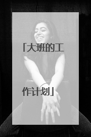 大班的工作计划