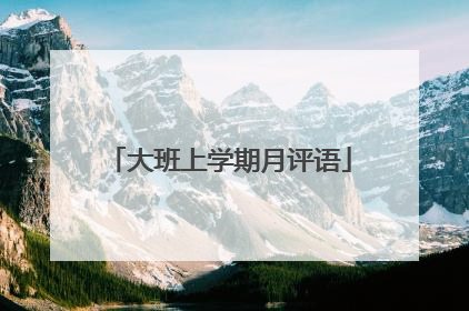 大班上学期月评语