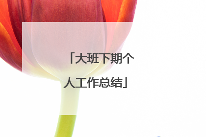 大班下期个人工作总结