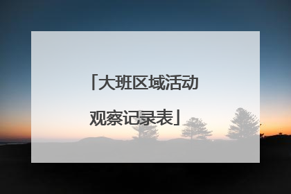 大班区域活动观察记录表