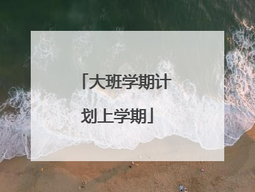 大班学期计划上学期
