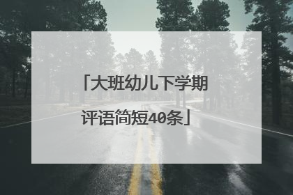 大班幼儿下学期评语简短40条
