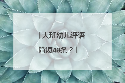 大班幼儿评语简短40条?