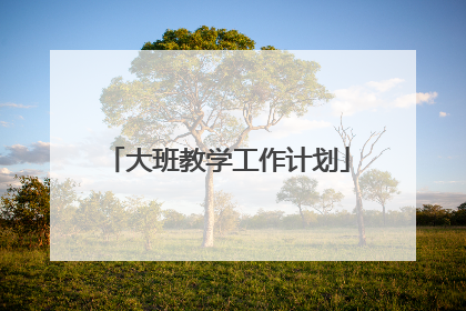大班教学工作计划