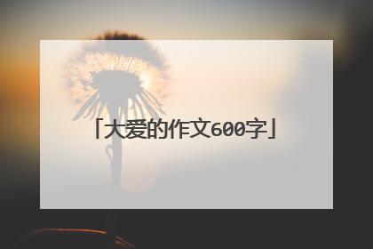 大爱的作文600字
