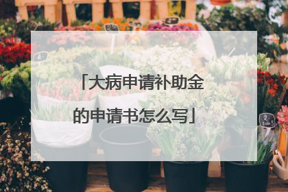 大病申请补助金的申请书怎么写