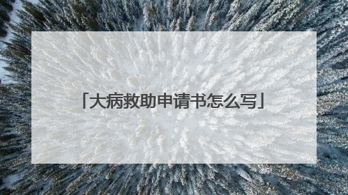 大病救助申请书怎么写