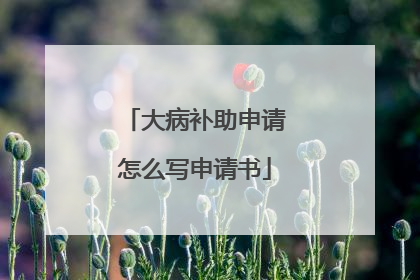 大病补助申请怎么写申请书