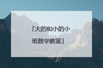 大的和小的小班数学教案
