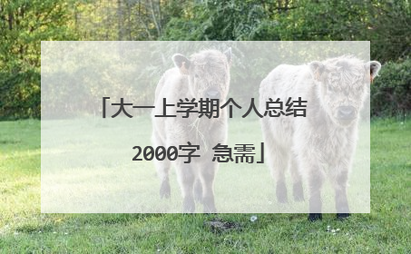 大一上学期个人总结 2000字 急需