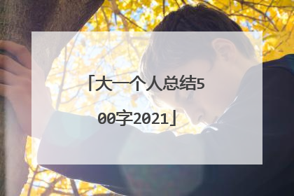 大一个人总结500字2021