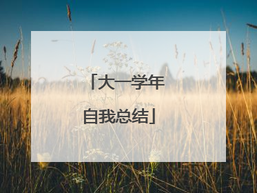 大一学年自我总结
