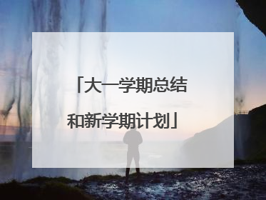 大一学期总结和新学期计划
