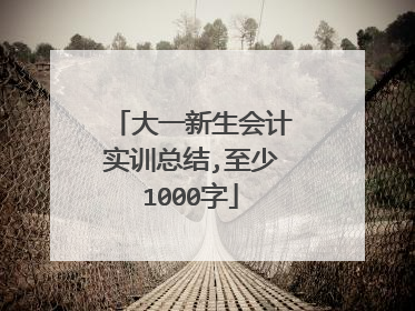 大一新生会计实训总结,至少1000字