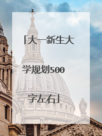 大一新生大学规划500字左右