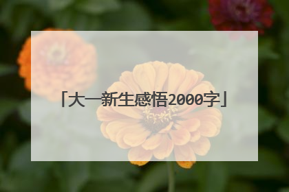 大一新生感悟2000字