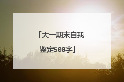 大一期末自我鉴定500字