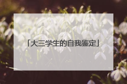 大三学生的自我鉴定