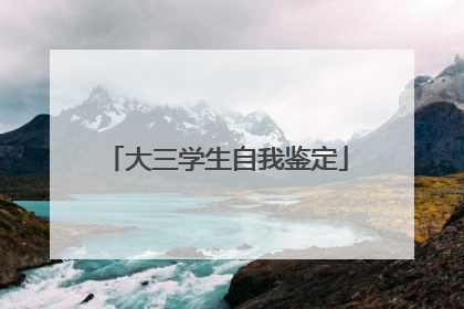 大三学生自我鉴定
