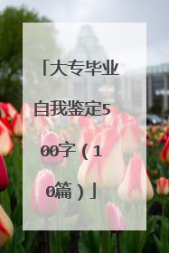 大专毕业自我鉴定500字(10篇)