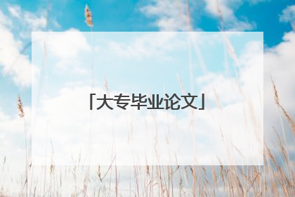 大专毕业论文