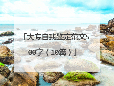 大专自我鉴定范文500字(10篇)
