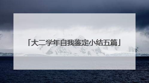 大二学年自我鉴定小结五篇