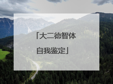 大二德智体自我鉴定