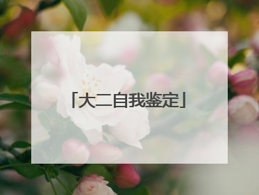 大二自我鉴定