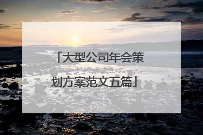 大型公司年会策划方案范文五篇