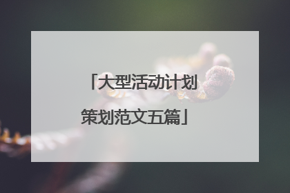 大型活动计划策划范文五篇