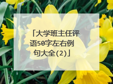 大学班主任评语50字左右例句大全(2)