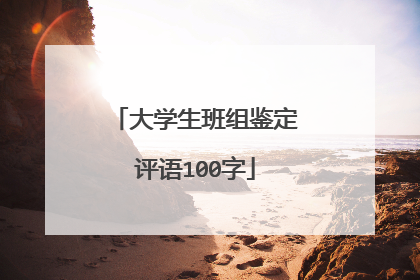 大学生班组鉴定评语100字