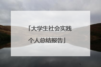 大学生社会实践个人总结报告
