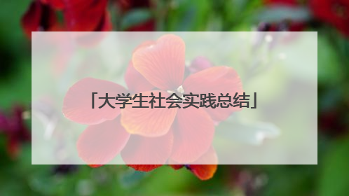 大学生社会实践总结
