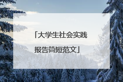 大学生社会实践报告简短范文