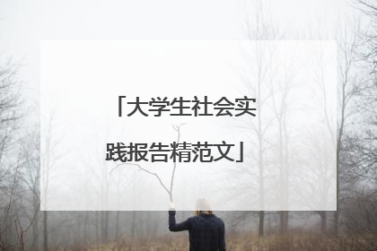 大学生社会实践报告精范文