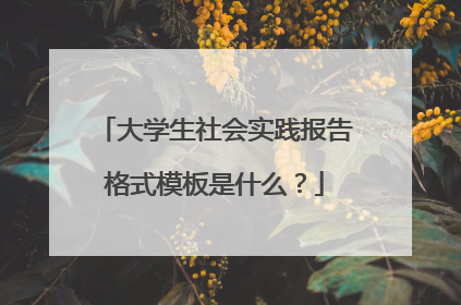 大学生社会实践报告格式模板是什么?