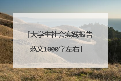 大学生社会实践报告范文1000字左右
