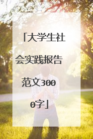 大学生社会实践报告范文3000字