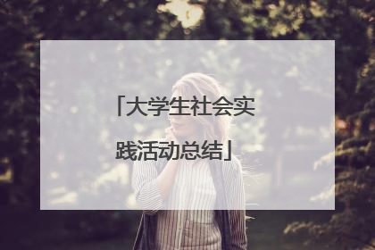 大学生社会实践活动总结