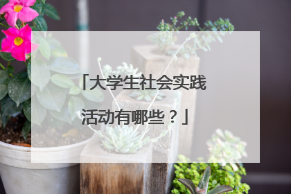 大学生社会实践活动有哪些?
