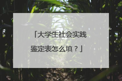 大学生社会实践鉴定表怎么填？