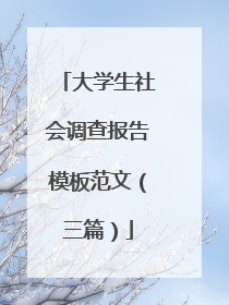 大学生社会调查报告模板范文（三篇）