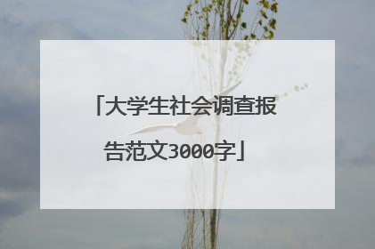 大学生社会调查报告范文3000字
