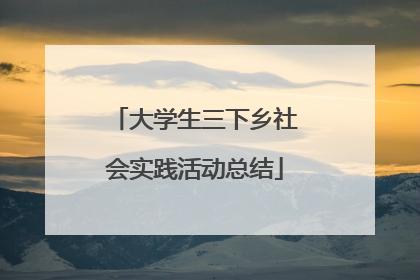 大学生三下乡社会实践活动总结