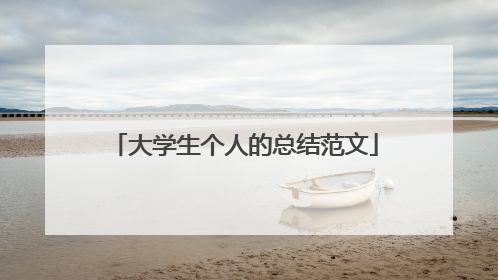 大学生个人的总结范文