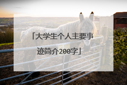 大学生个人主要事迹简介200字