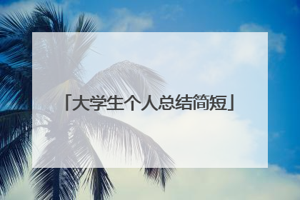 大学生个人总结简短