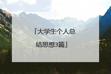 大学生个人总结思想3篇